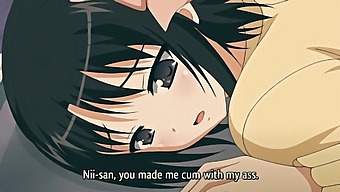 Hentai Video Featuring Big Tits And Anal Play With Orgasm