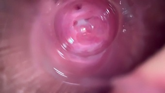 High-Definition Video Of Deep Penetration In A Teen'S Vagina